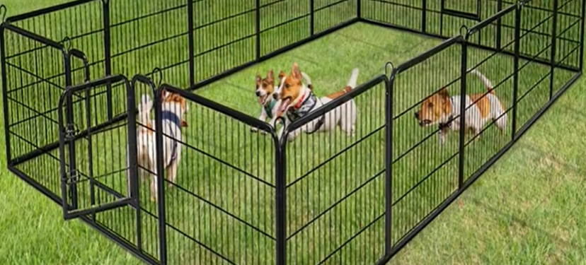 Portable Fence For Large Dogs Review
