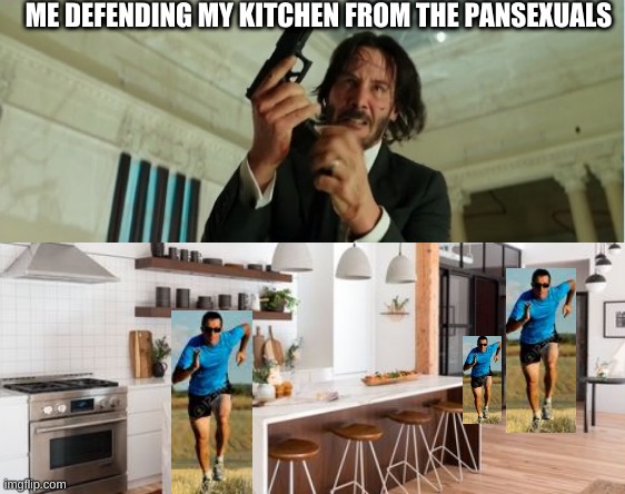 Me Defending My Kitchen from Pansexuals